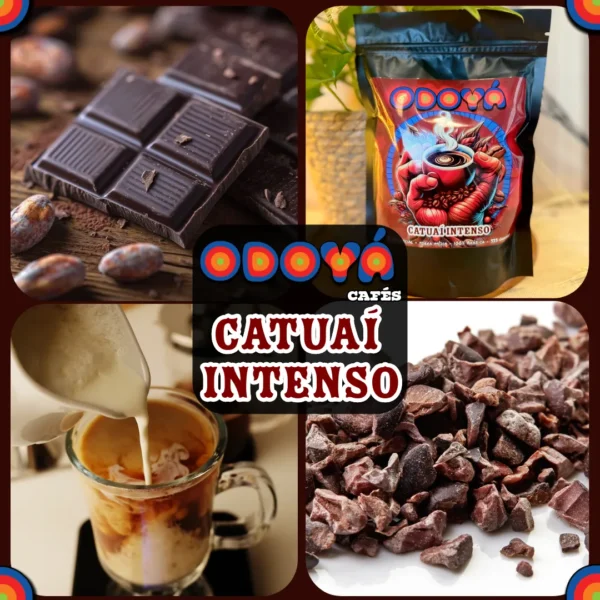 Odoyá Cafés - Catuaí Intenso, notas de nibs de cacau, torra media escura