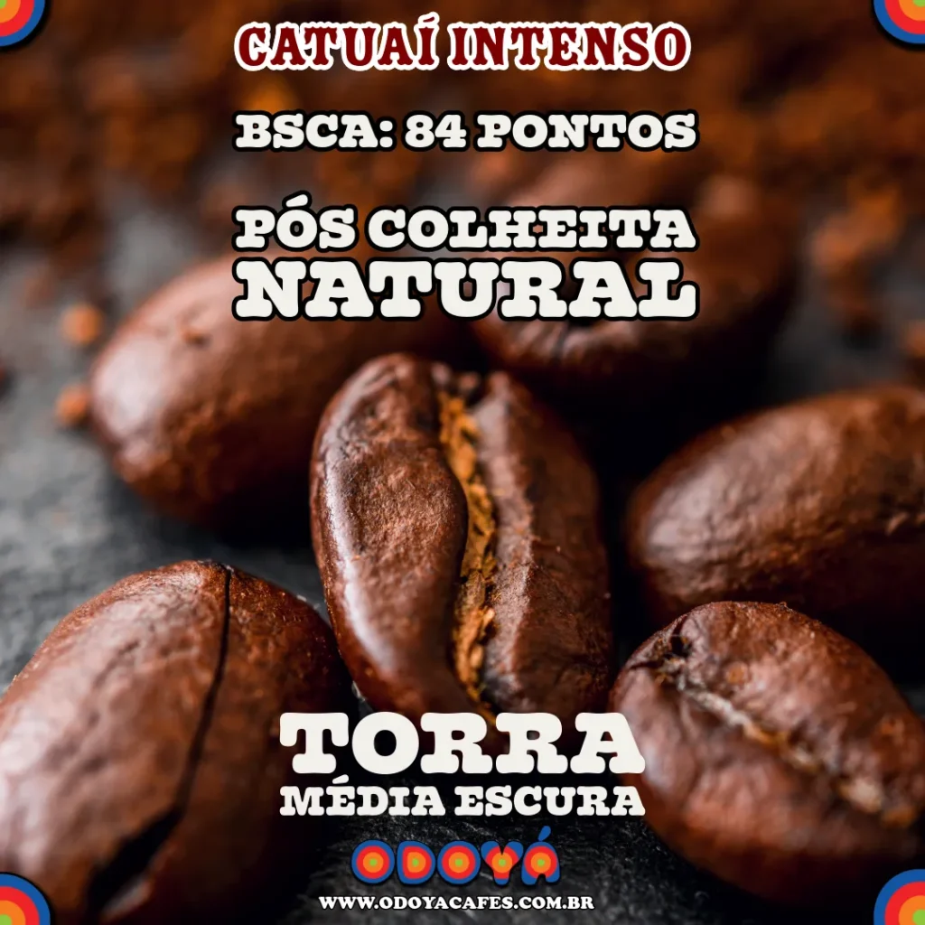 Odoyá Cafés - Catuaí Intenso, notas de nibs de cacau, torra media escura