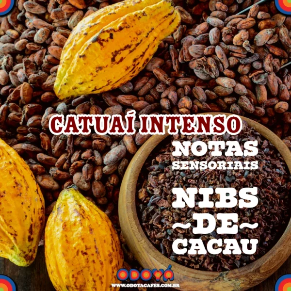 Odoyá Cafés - Catuaí Intenso, notas de nibs de cacau