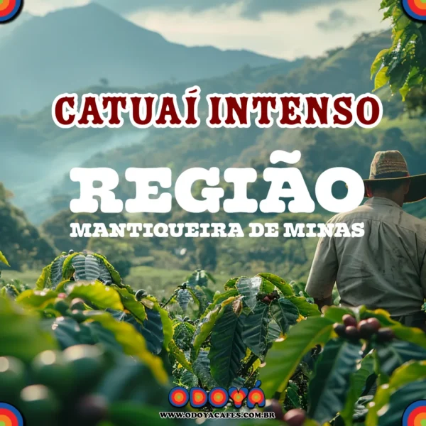Odoyá Cafés - Catuaí Intenso, notas de cacau, região Mantiqueira de Minas